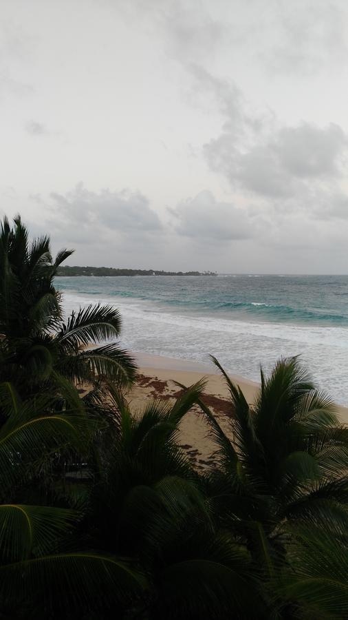 Corn Island Hostal Alal Suite North End Extérieur photo